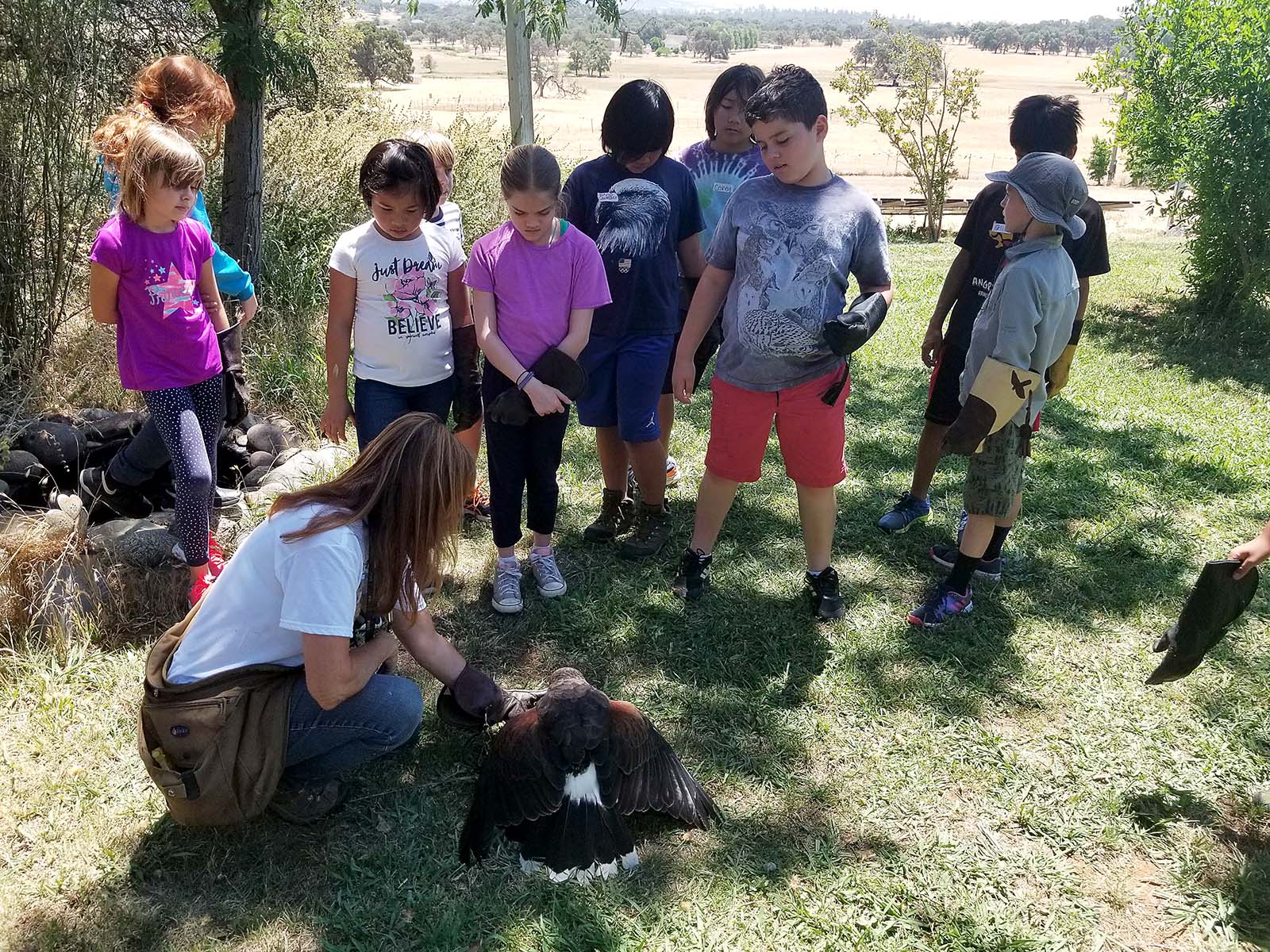group of children learning about birds of prey